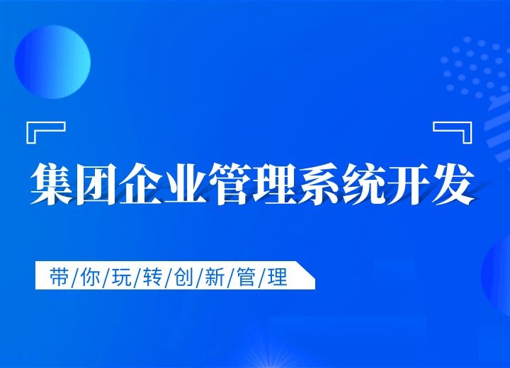 集团企业管理系统开发